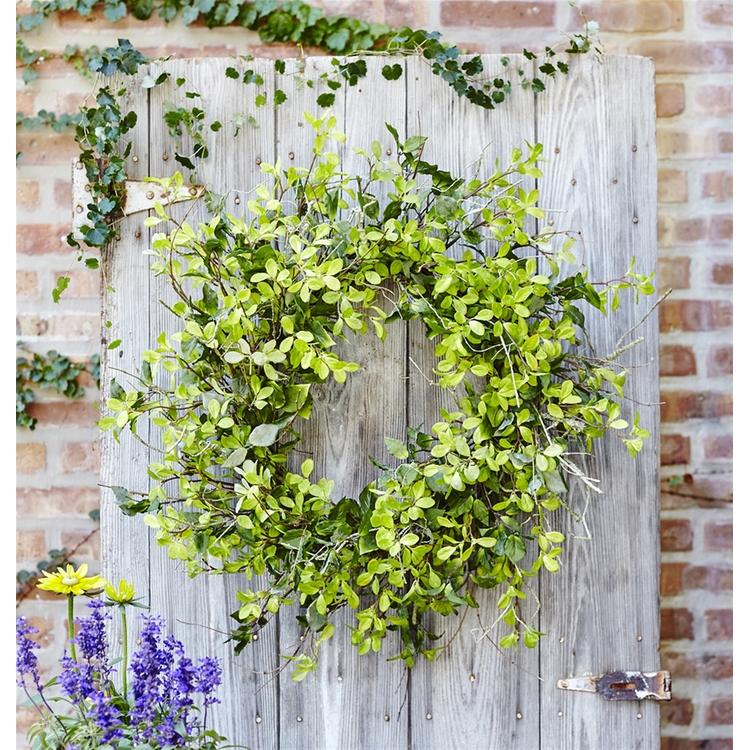 MELROSE International Foliage Wreath - Thumbnail 3