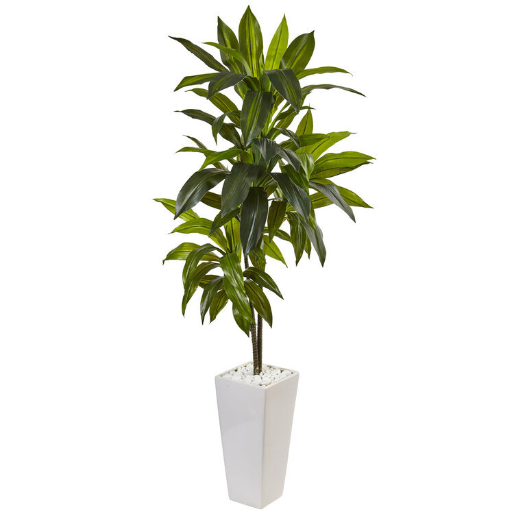 Nearly Natural Dracaena Artificial Plant