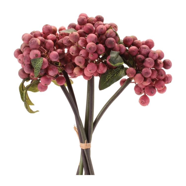 Melrose International Mini Berry Spray Bundle (Set of 6)