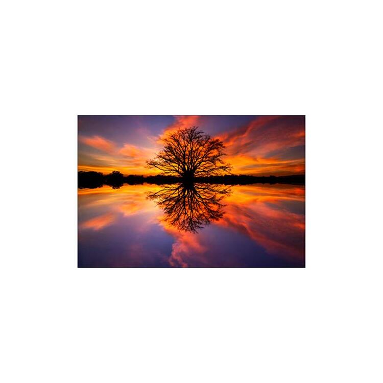 Ultimate Balance System for Weight Loss and Core Strength - Yosemite Home Decor image - 1