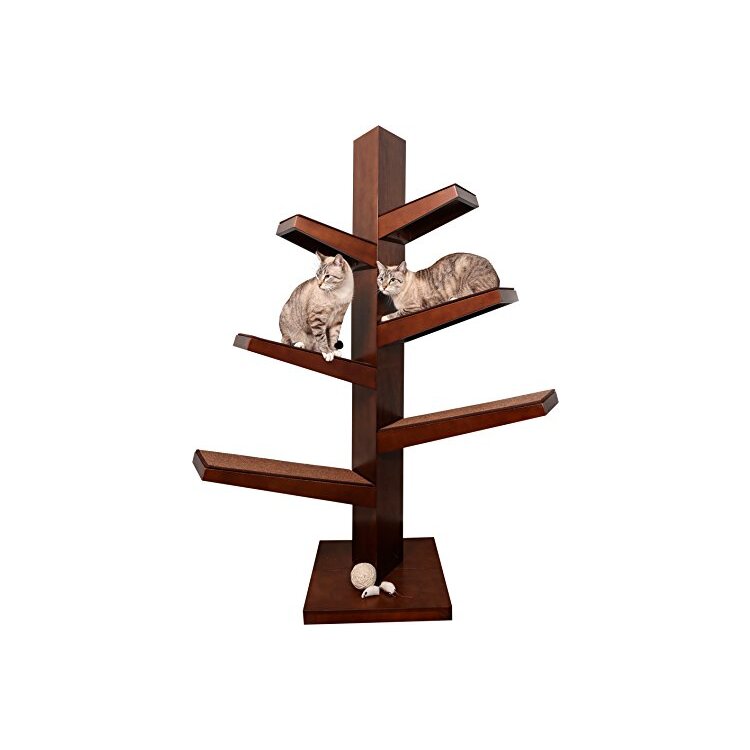 catalpa cat tree