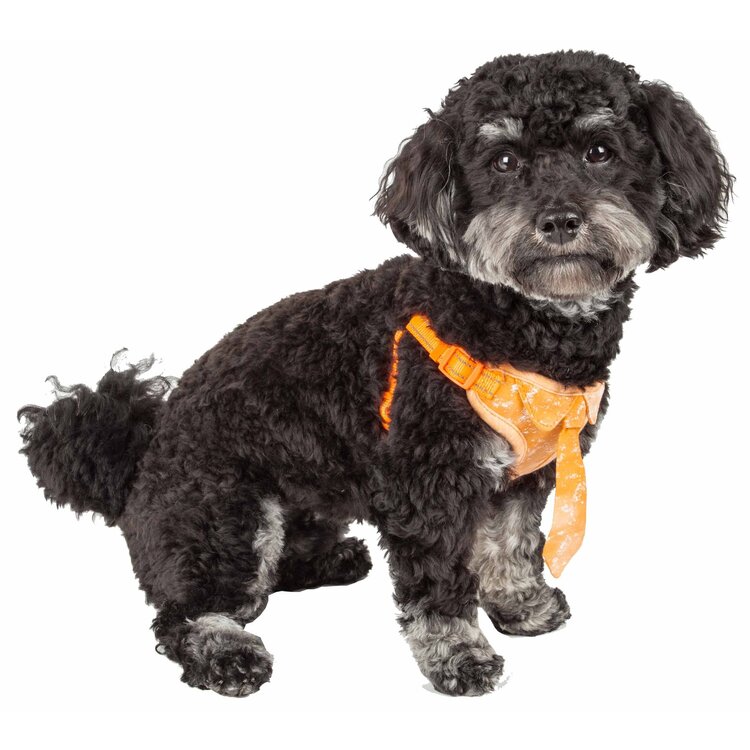 Reversible Breathable Dog Harness with Adjustable Designer Neck Tie image - 1