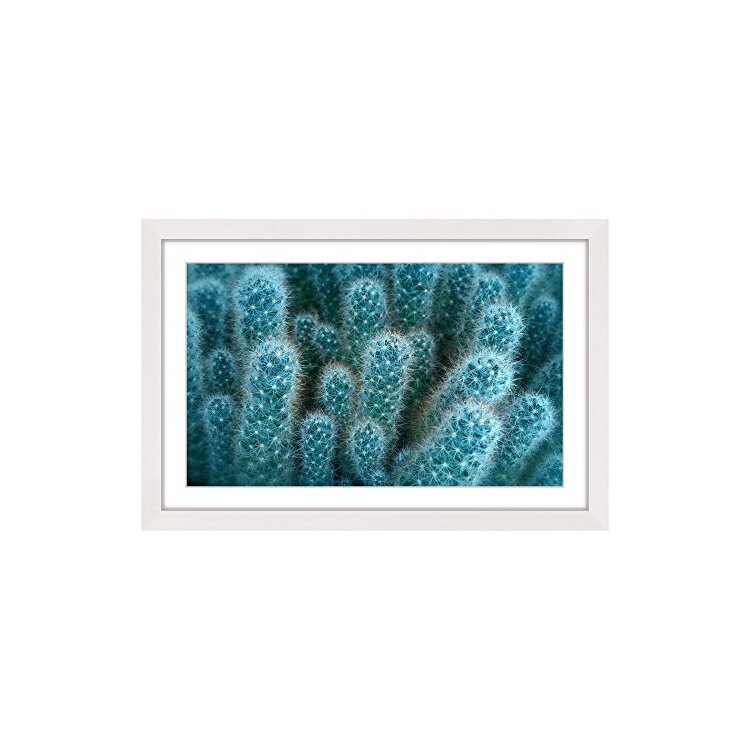 Soft Blue Cacti Framed Painting Print image - 1
