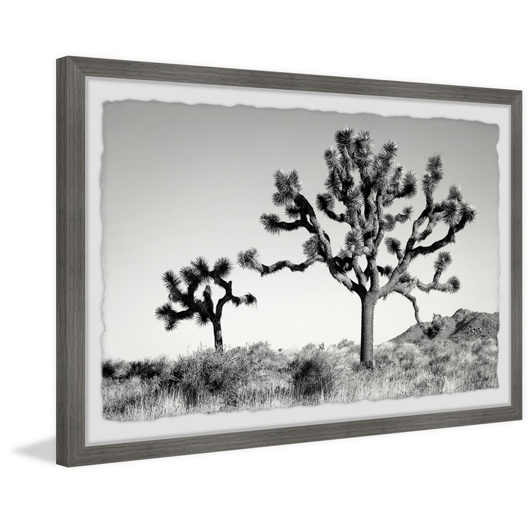 Marmont Hill Mountain Top Trees Framed Painting Print image - 1