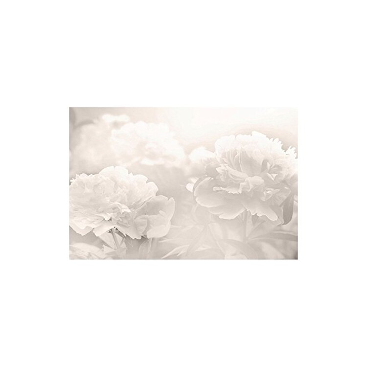 Romantic Peony Canvas Prints Ready to Hang - Marmont Hill image - 1