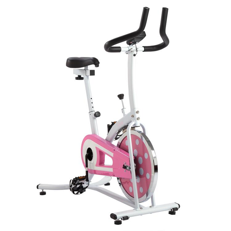 Sunny Health And Fitness Indoor Cycling Bike image - 1