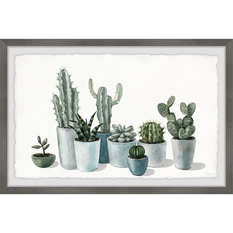 Parvez Taj Growing Cactus and Succulents Framed Painting Print image - 1