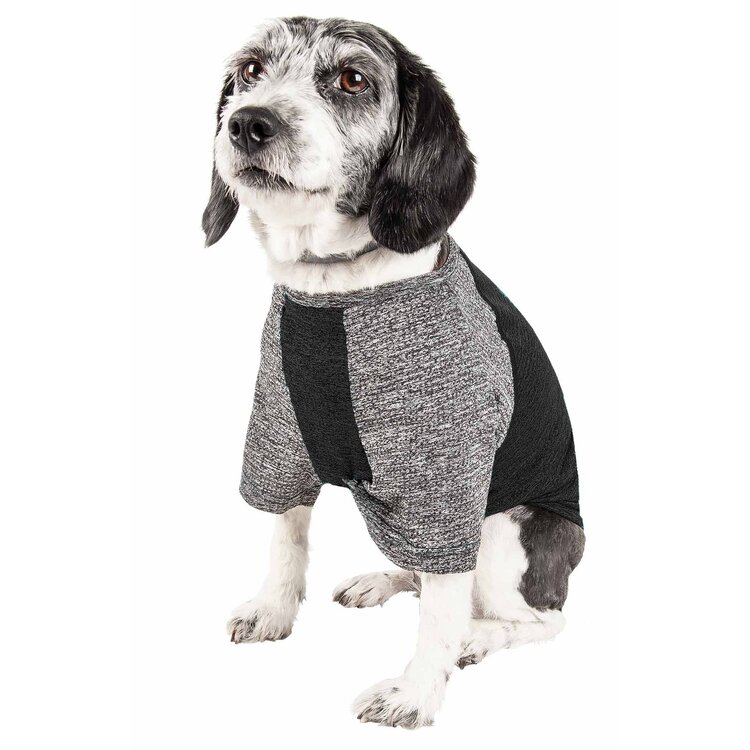 Active Performance Dog T-Shirt with 4-Way Stretch & Two-Toned Design image - 1
