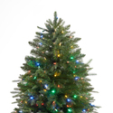 HD Christmas Trees Thumbnail - 1
