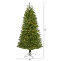 Nearly Natural 6.5ft. Vancouver Spruce Artificial Christmas Tree with 250 Warm White Lights and 803 Bendable Branches - Thumbnail 2