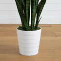 Nearly Natural 5ft. UV Resistant Artificial Sansevieria Plant in White Decorative Planter (Indoor/Outdoor) - Thumbnail 5