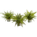 Nearly Natural 14in. Assorted Ferns with Planter Artificial Plant, Set of 3 Thumbnail - 1