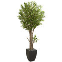Nearly Natural 6.5ft. Olive Artificial Tree in Black Planter Thumbnail - 1