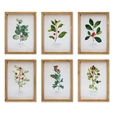 Melrose International Framed Winter Foliage (Set of 6) 10.5"L x 14.25"H Paper/Wood/Glass Thumbnail - 1