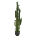 6.5ft. Tall Lifelike Artificial Cactus Plant - Nearly Natural Thumbnail - 1