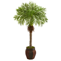 Tropical Artificial Palm Tree, 62 Robellini Palm in Decorative Planter - Nearly Natural Thumbnail - 1
