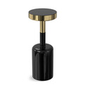 Frannie 10 inch Wide Metal Side Table in Gold / Black Thumbnail - 1