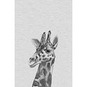 Friendly Giraffe III Painting Print on Wrapped Canvas Thumbnail - 1