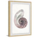 Usual Shell Framed Painting Print Thumbnail - 1