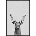 Stunning Canvas Floater Framed Painting Print III Buck III Artwork on Wall Decoration - Marmont Hill Thumbnail - 1