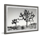 Marmont Hill Mountain Top Trees Framed Painting Print Thumbnail - 1