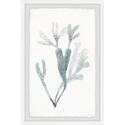 Blue Staghorn Giclée Print - Unframed 8 x 12 Artwork on Archive Paper - Parvez Taj Thumbnail - 1