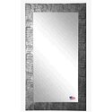 Rayne Safari Silver 28.5 x 63.5 Floor Mirror Thumbnail - 1