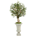 Nearly Natural 3.5ft. Olive Artificial Tree in Sand Colored Urn Thumbnail - 1