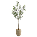 Nearly Natural 5.5ft. Olive Artificial Tree in Sand Colored Planter Thumbnail - 1