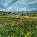Galvanized Welded Wire Mesh W16481001H Far North Material - Far North International Thumbnail - 1