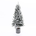 HomeStock 5.6ft Joy Slim Christmas Tree with Lights, Realistic Skinny Pencil Christmas Tree Prelit with 650 Branch Tips, 150 Clear Lights, Artificial Christmas Tree in a Pot Thumbnail - 1